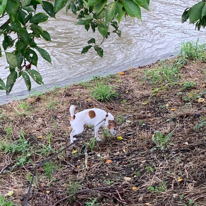 C624d88f d34c 4852 bf8f 5f60539ffb4b 1628850600140