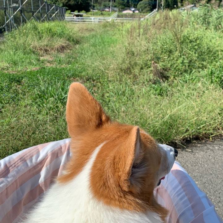 C624e307 1ad0 4195 86fb 4b380589aa63 1696297190902