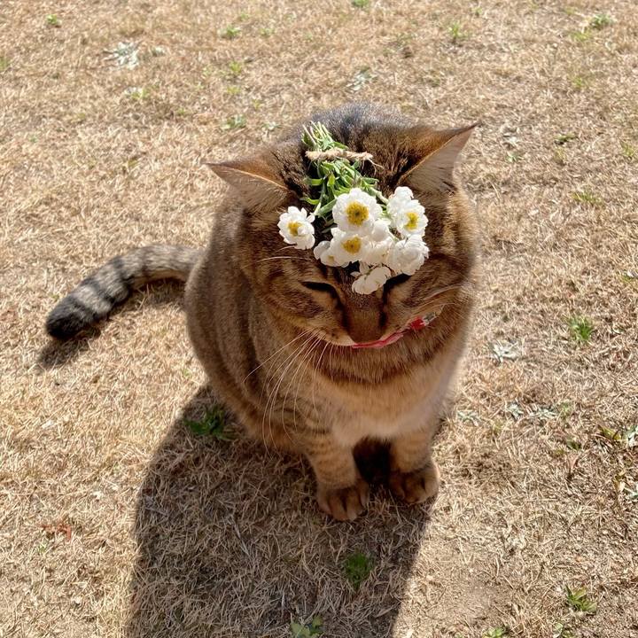 C624f55c ffd4 4029 9855 38c2129ef588 1644972107443