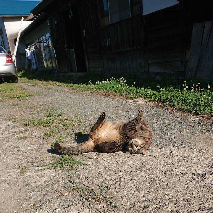 C624fa5e 23c3 4625 aa96 0f25cc773d76 1656714445849