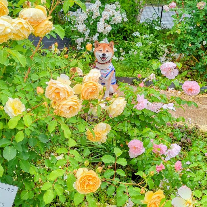 C6251ad4 9d02 45c8 aabf cc4d1e6ffb6c 1748497573009