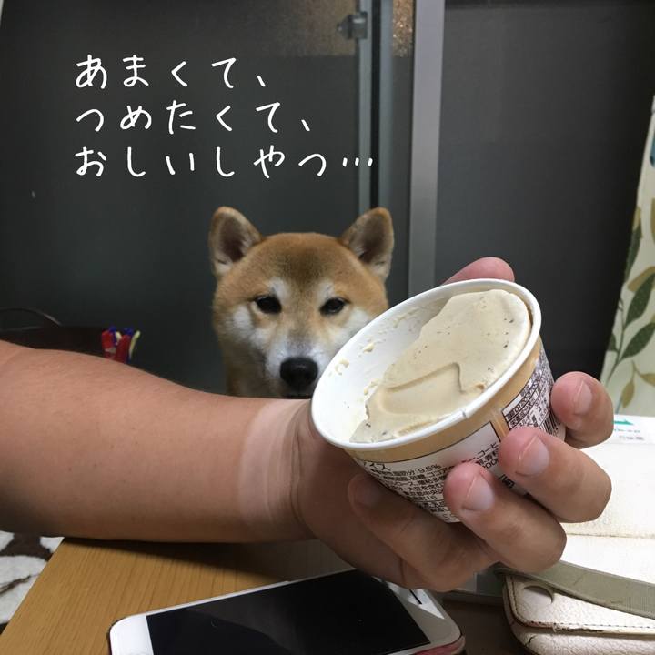 C6253116 760f 4cfc b3ab 2a607c9c26e5 1538834132659