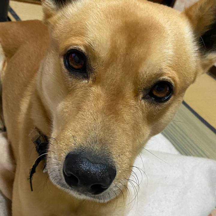 C6253482 c883 4cbe 8362 62261a12d694 1645091315809