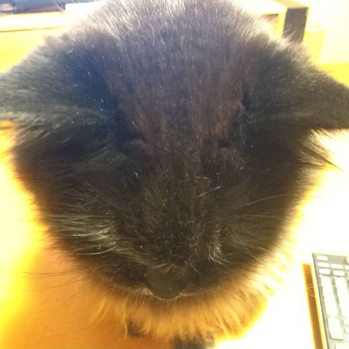 C6254399 071b 4fdc 9fcb 88f45cbd3e8b 1653908546563