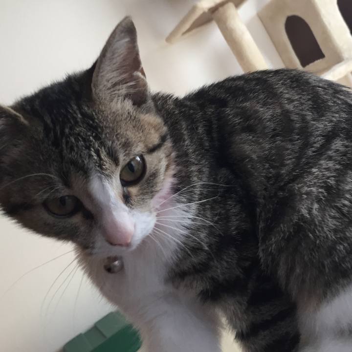 C6255b8d df72 4d9c a7c6 400f3e899c96 1662437044492