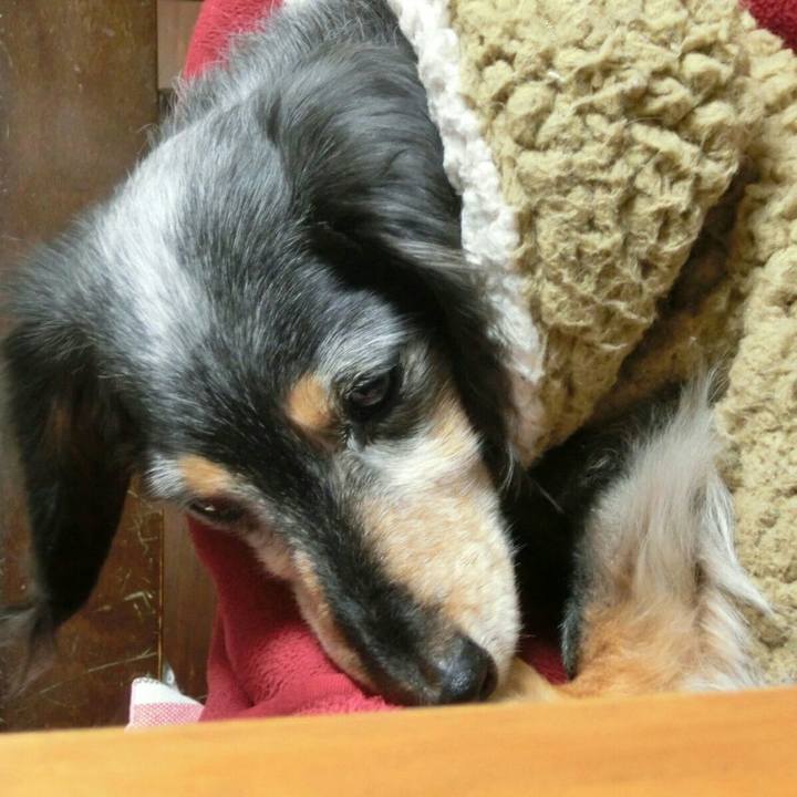 C6256a19 1562 4734 94ee 2f22bd1af804 1529985311293