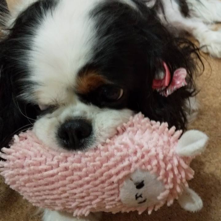 C625ca67 40e2 4429 bf9f 630f6a89c160 1574647578051