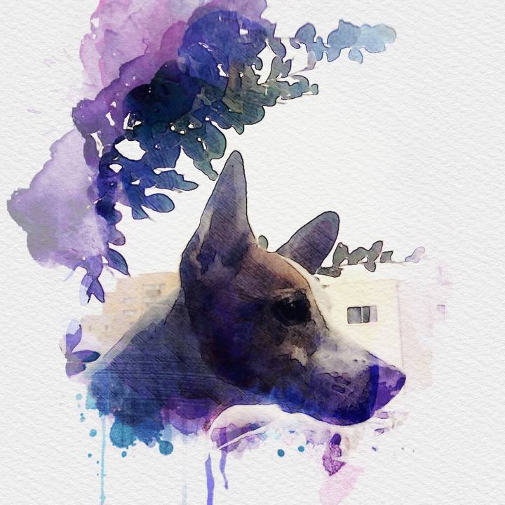 C625d756 9f74 4492 afa6 25049aff63af 1508151955789