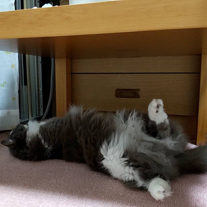 C6262669 d915 4024 8731 095eed906619 1658318203685