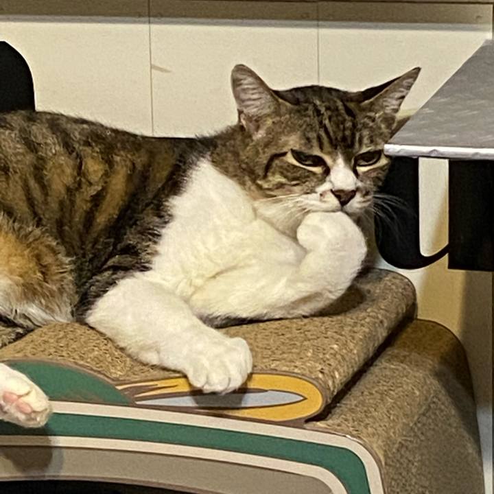 C6265440 3ae0 4298 903c 953b7759938a 1632154002118