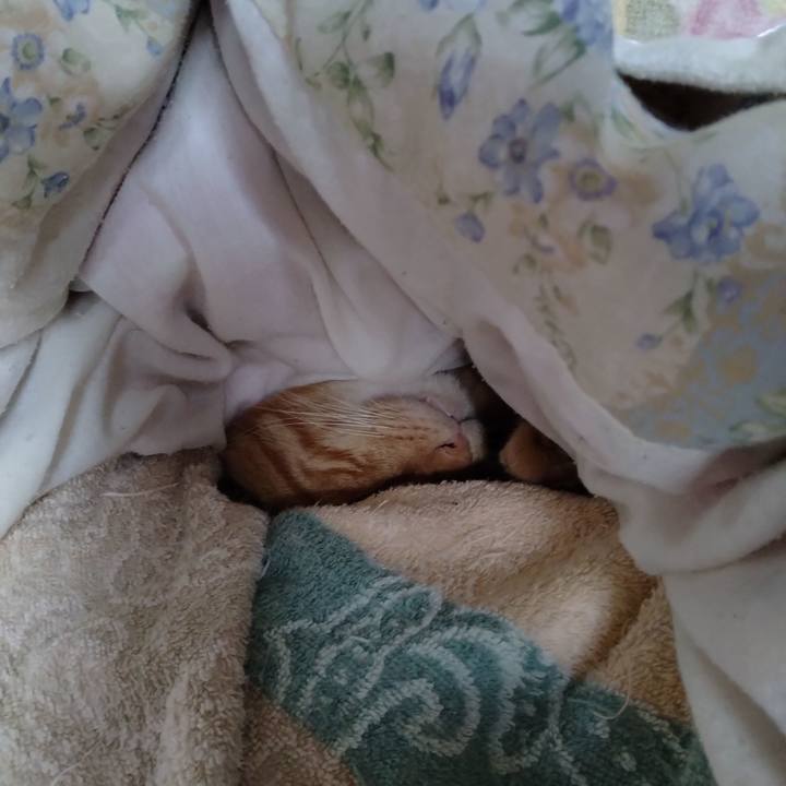 C62655c0 d268 49c4 934b 36093f4acd79 1696286071186