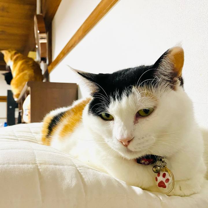 C62656d1 8de9 4403 9676 e3a313a0d5fd 1734624043700