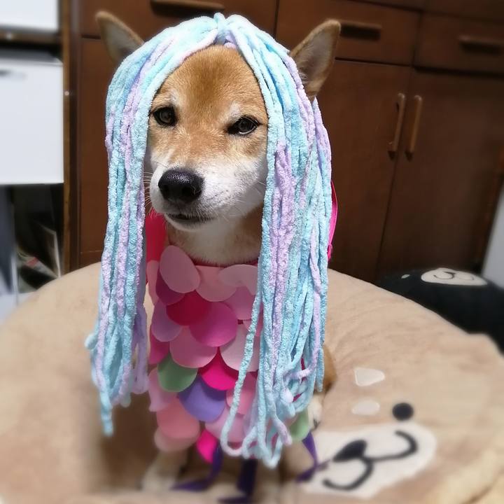 C6265808 3305 4d60 8af0 1acd9eba0a46 1601452998606