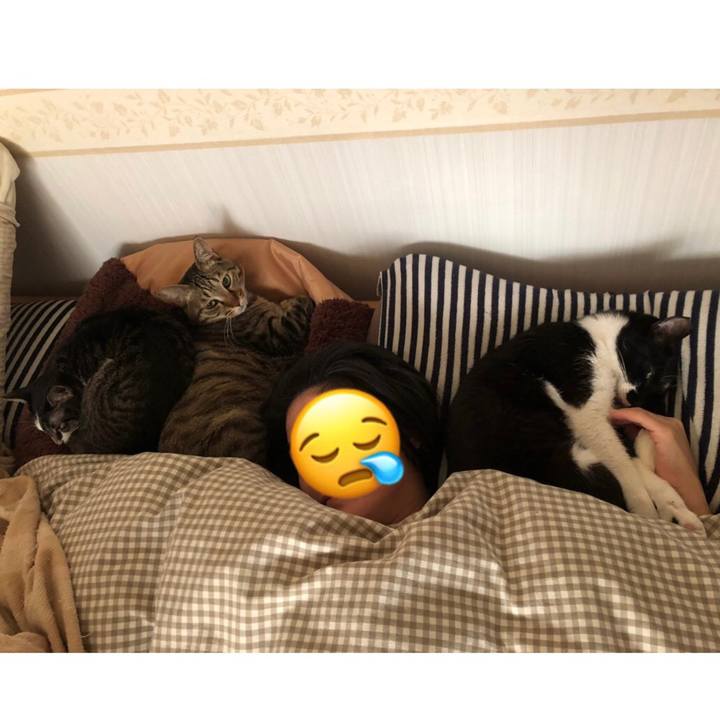 C626630e 6158 4bfb b649 4afc1ad9e88e 1616829815538