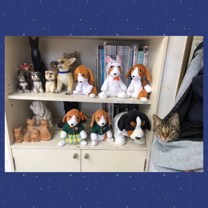 C6269599 e49b 4299 9f10 b5505ec6d16c 1733557387791