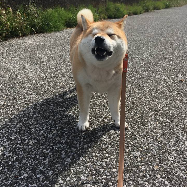 C626b8b8 5a15 4560 8d92 18b13d9ac3df 1559259834916