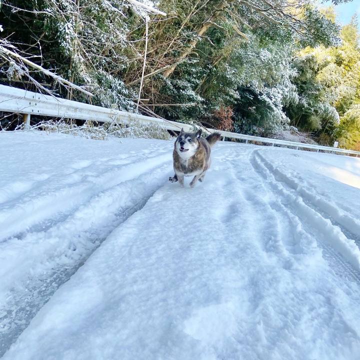 C626edf6 5670 44a1 b9aa 83eb281b33ae 1675069273073