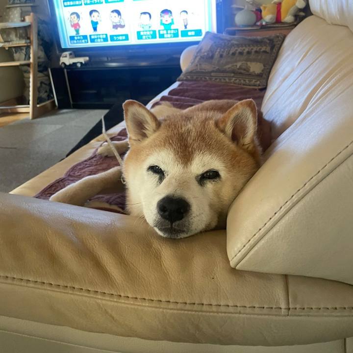 C626f7dd 1266 4147 baf6 fa8b54d225f4 1726186759985