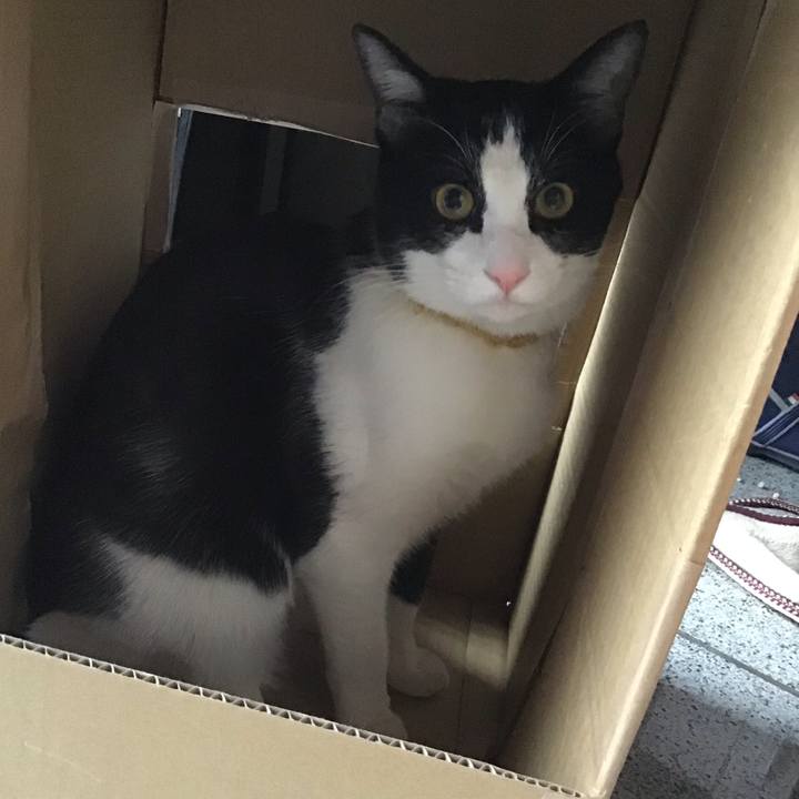 C6270412 50b3 48dc b107 202910baf2bb 1647681669253