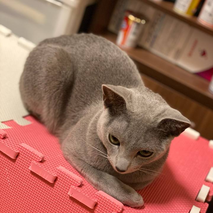 C6272c48 ba37 4cc6 b991 fddbf11b7792 1619440920464