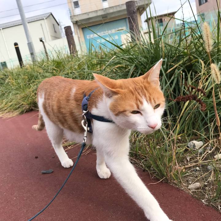 C6278e74 5971 442a 97ab b19b7c521000 1511070701373