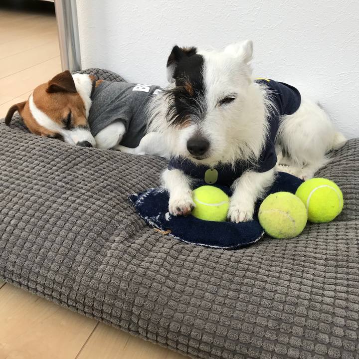 C627d0db 2431 4245 bdd6 aa728a7b3dae 1523239783881