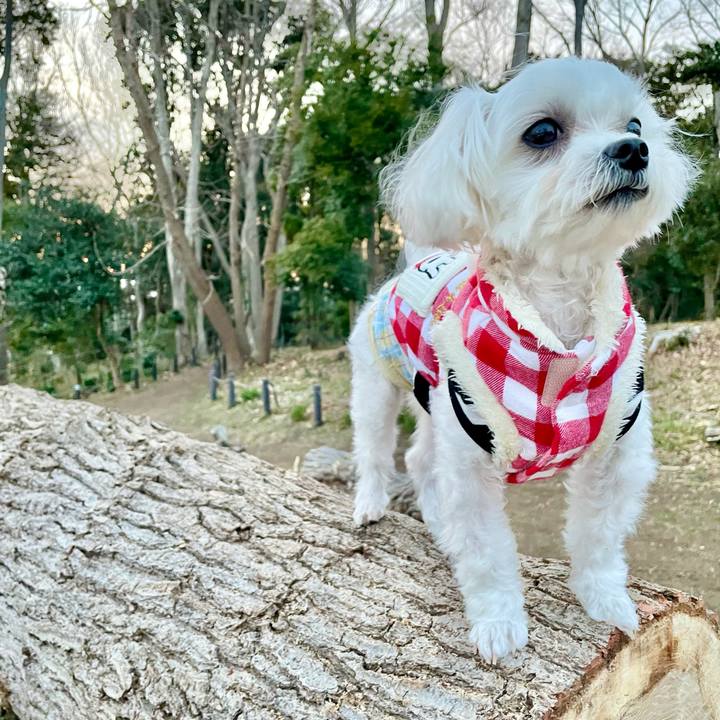 C627e17e 5b8b 4230 bee0 e432c2f95a01 1614593351494