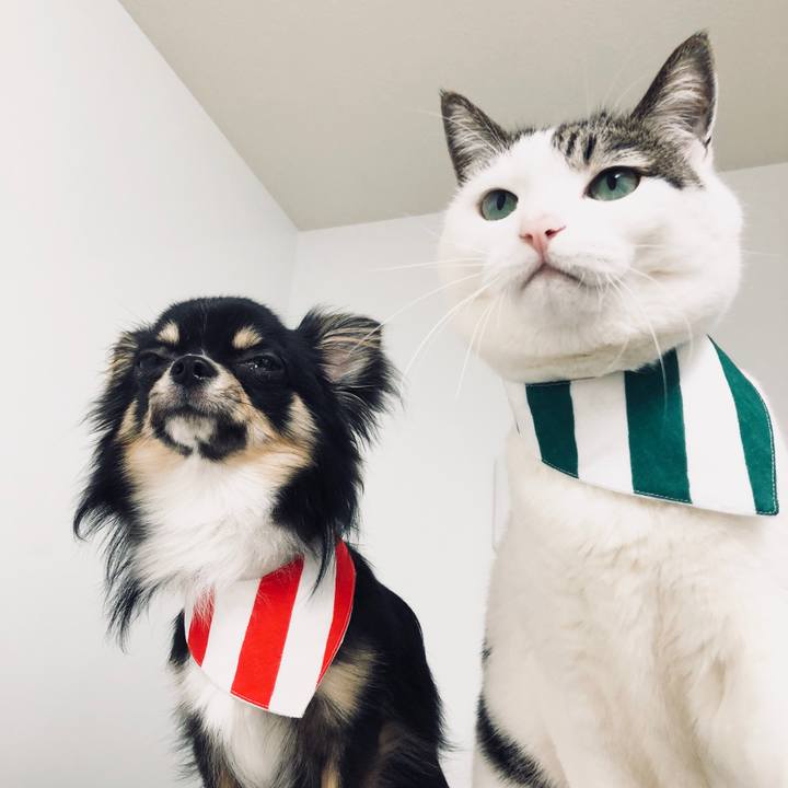 C6283b7e bfee 4cf2 9d9a e9df7820a195 1528149207567