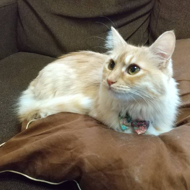 C62843a6 7cdf 4881 afc8 625e99b9227c 1645238418384