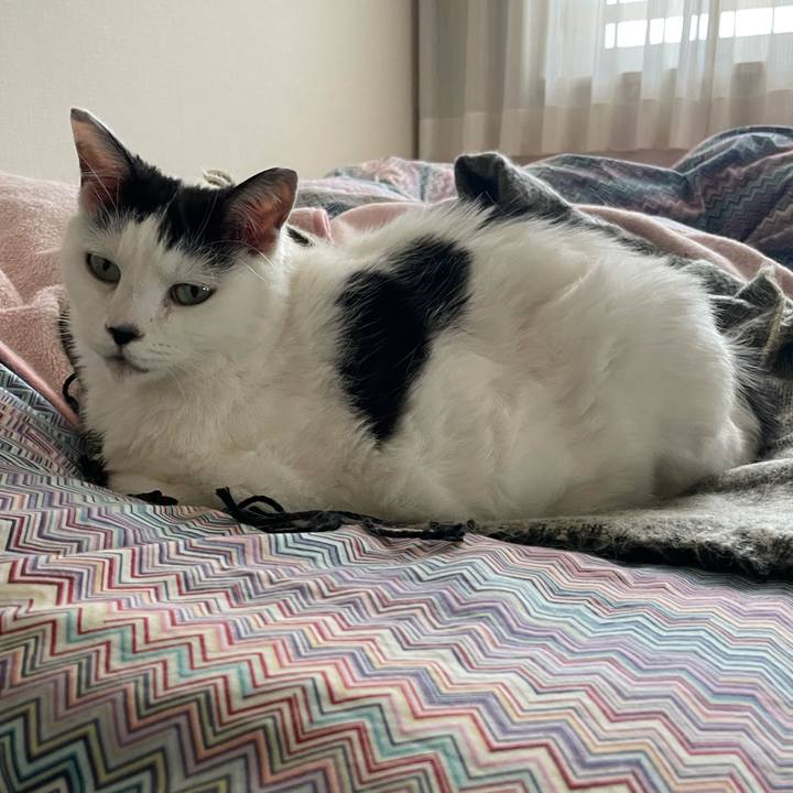 C62861f9 20c3 4fd8 9a6e bc7d88cdce28 1667518708375