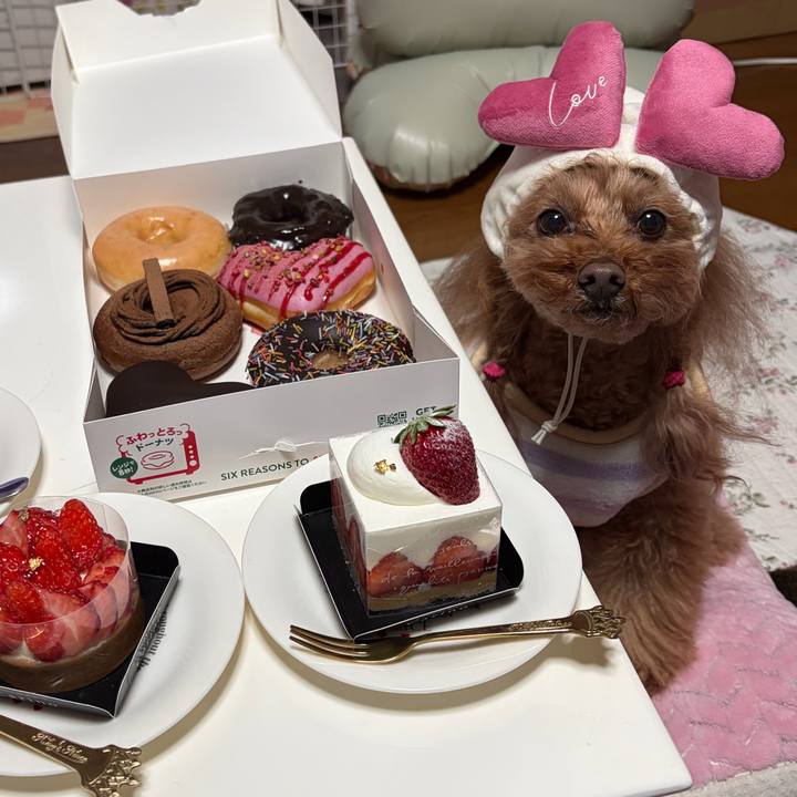 C628739c dde0 4b2d a8bc 743c6dee17a2 1769339331966