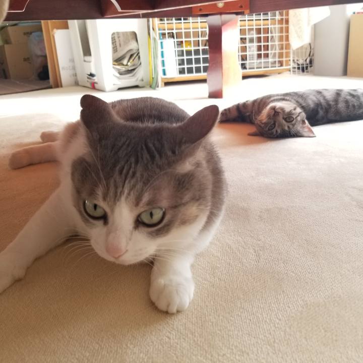 C62873fe 43d5 40f7 99bb adf902c963c4 1670425971979