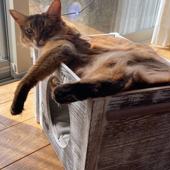 C6288928 60a4 4bcc 9815 ca34c74943d8 1614399063250