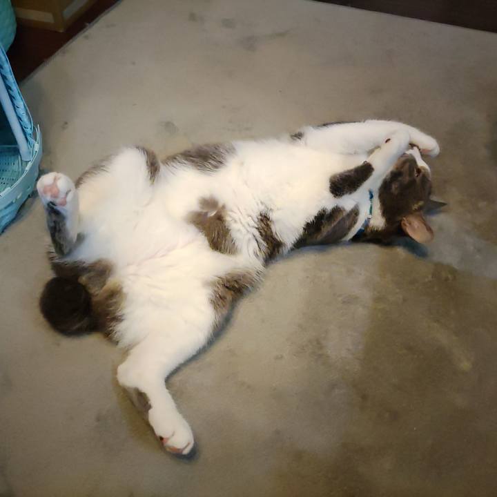 C628d04e 61a3 4ce9 a83c bf19f35f04fa 1655331306461