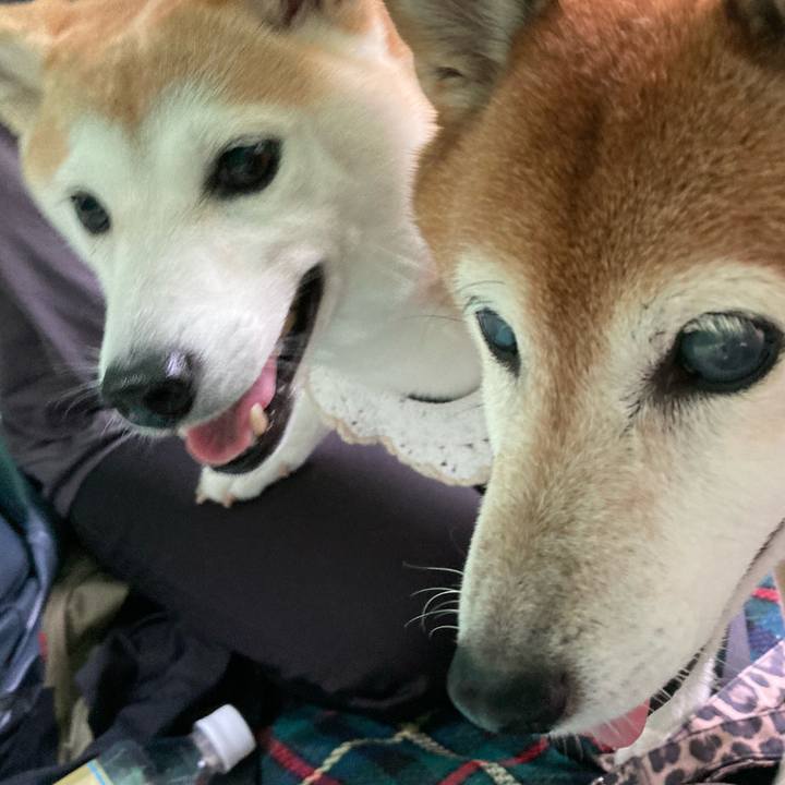 C628fcf9 8742 486c b793 0d30486a71ae 1728548472873