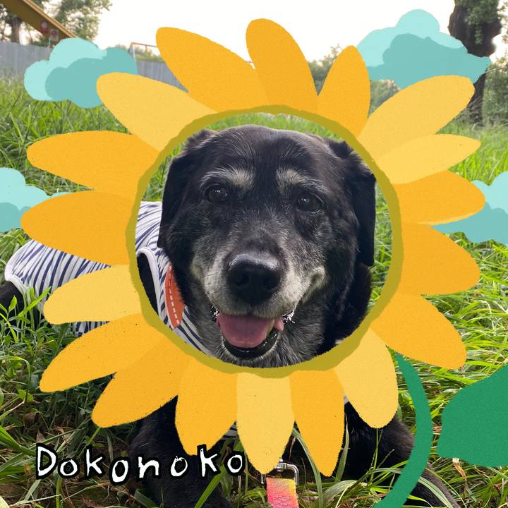 C62916f1 64f6 4520 9d20 88ba6ce80fb8 1723562747162