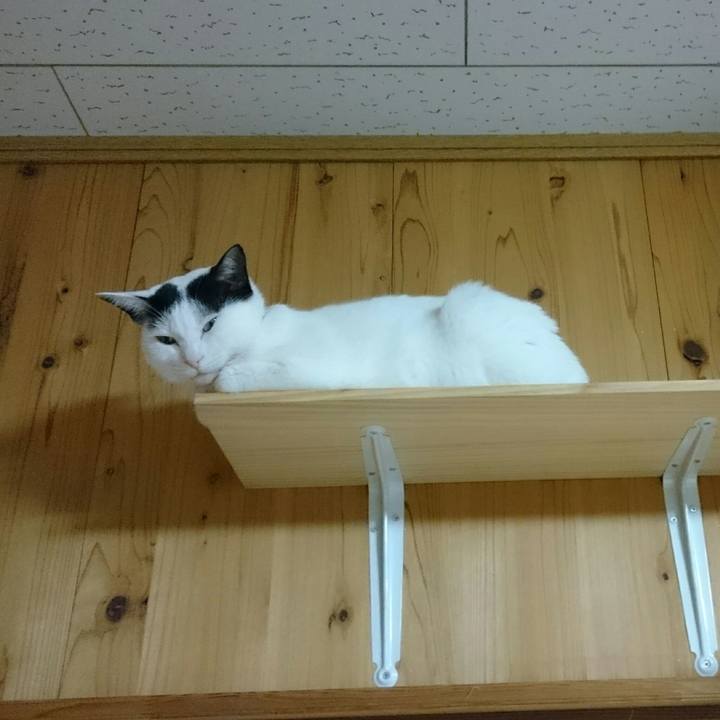 C6291dad d697 44bb 9239 84f19c1c34f8 1516363038879