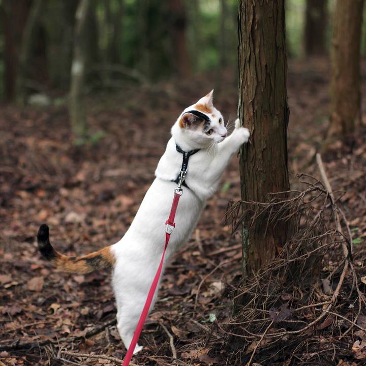 C6292dc2 0233 4557 8267 9c70309dbe61 1570271192810