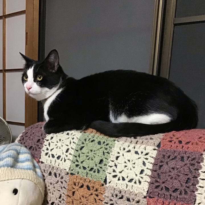 C6295de5 e210 47d7 87d0 2b41451ce075 1651831168828