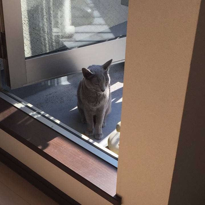 C62981c8 c61b 475e ad7f 7320d562f98a 1510812129116