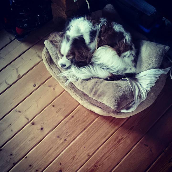 C629e7e7 539c 413b b10f 2666ec8cce0f 1529019422089