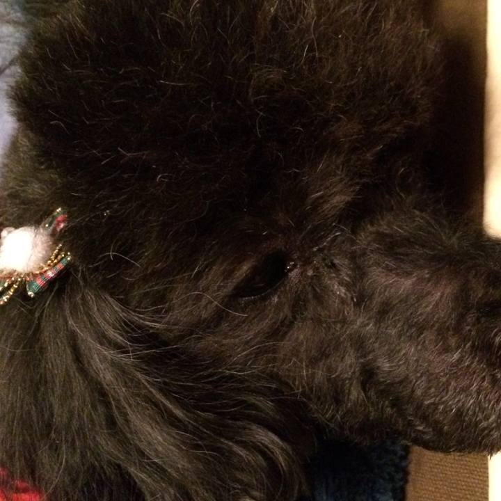 C629f095 b3c1 419e aad3 9fe43d398894 1545213894722