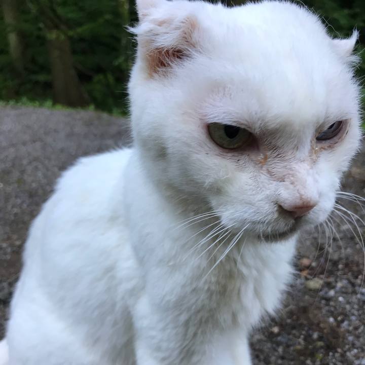 C62a60a6 faaf 4363 907f 1f38f4dad911 1533989548863