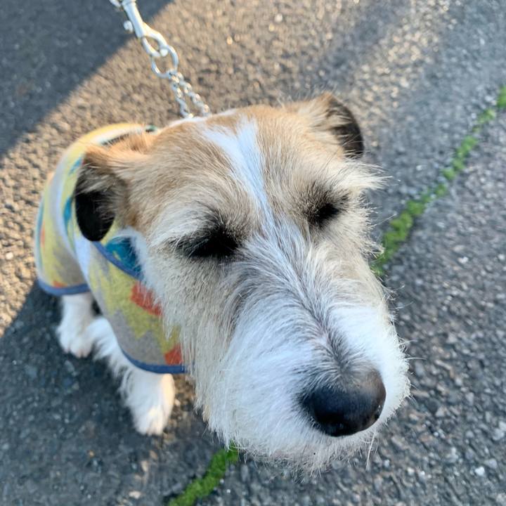 C62a6e1a 810c 4d03 ad73 de9270d7b338 1677418025025