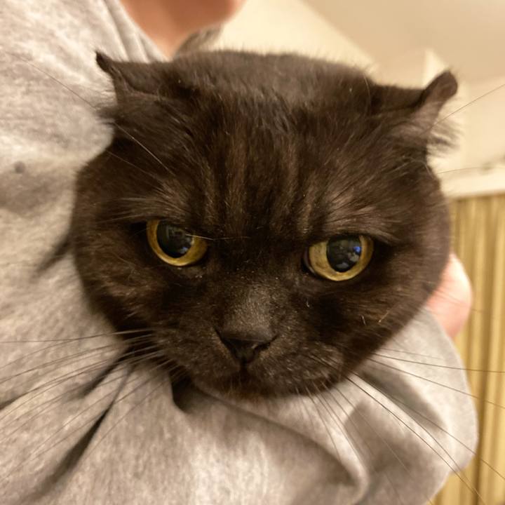 C62a7b37 c520 49c5 8853 6a888ca5f8a8 1611680190994