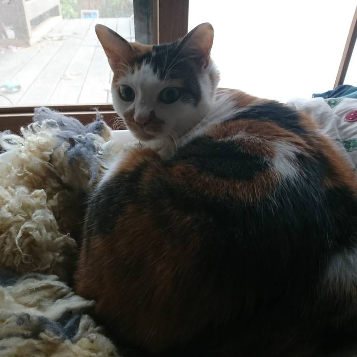 C62a7ef4 f1be 4589 8541 f479b970961f 1543127618964