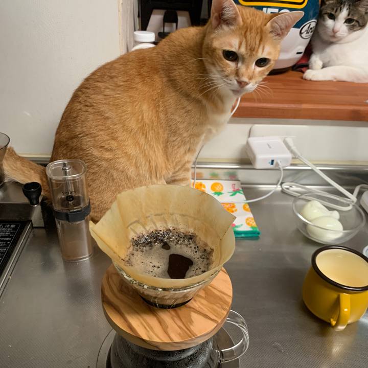 C62a9fc3 a5f1 4e70 b17a 8c69837517fc 1667937916811