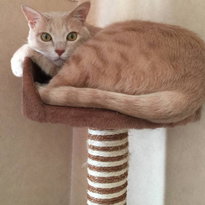 C62ad5e9 cee4 40ed b1d7 1555a4d8b89a 1513433880818