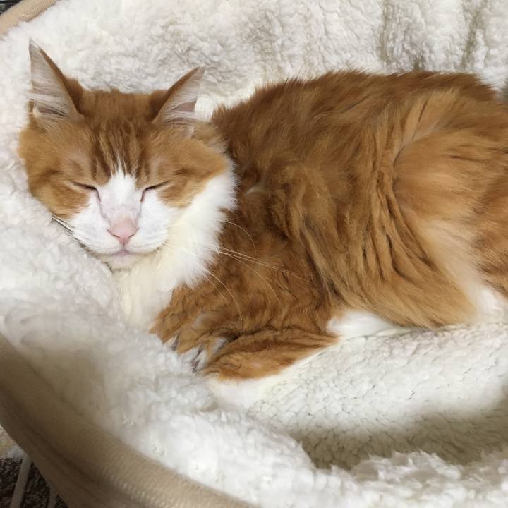 C62b0e27 4068 40a5 b383 897a09c3dbe4 1574701948365