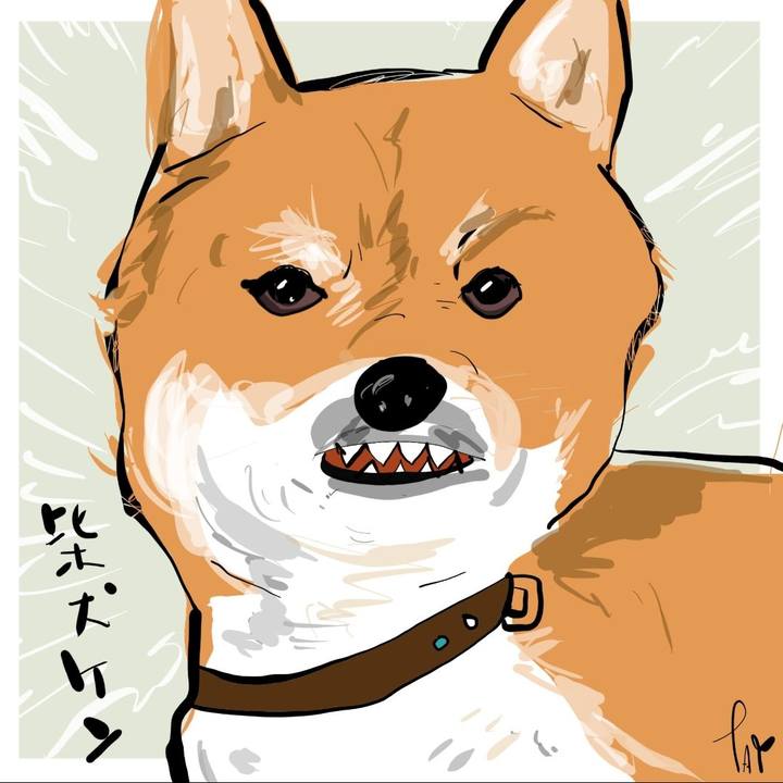 C62b3ee0 0332 4d55 867e 322a270bae03 1665974367290